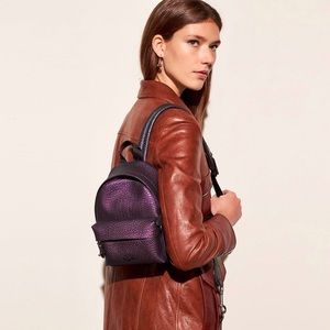 ***Rare*** Coach Oil Slick Backpack